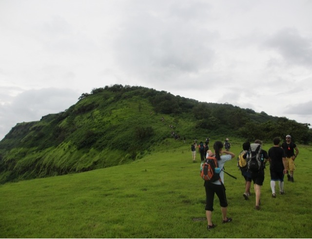 オリエンテーションウィーク中のハイクの様子